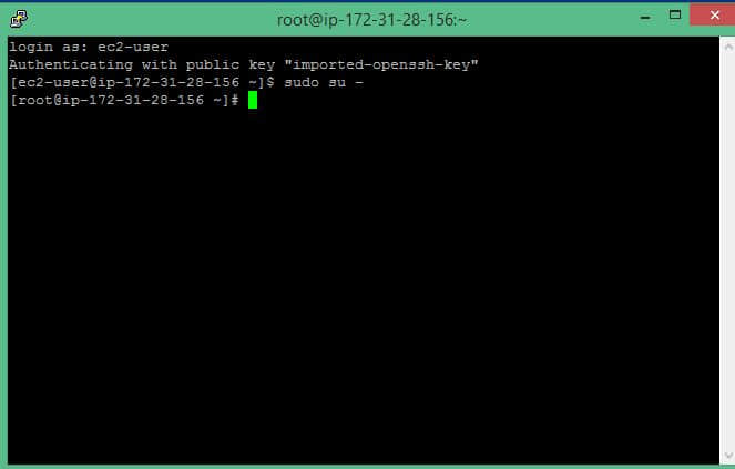 Logged in to AWS EC2 server